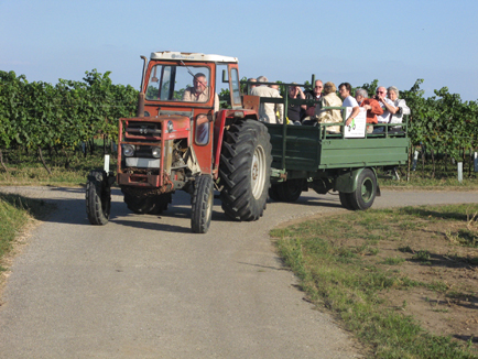 traktorium20119